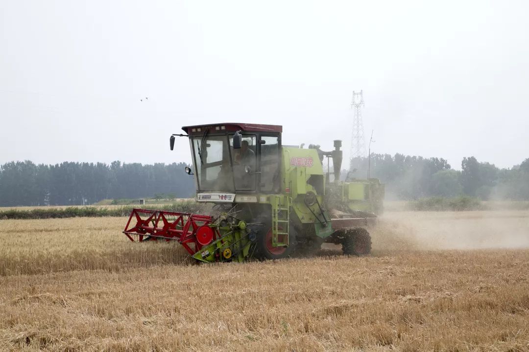 宏瑞集团丨农业公司麦收完美收官